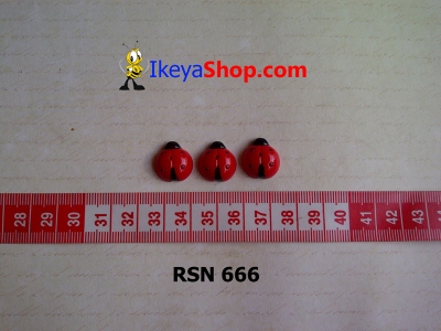 rsn 666  large2